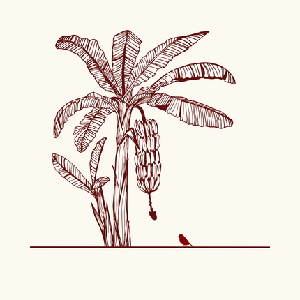 Collection image for: Vegan Silks & Advanced Textiles