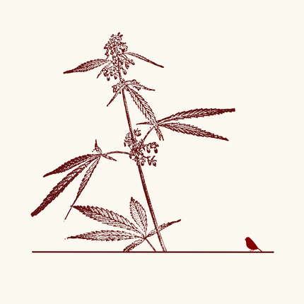 Collection image for: Sustainable Hemp Textiles