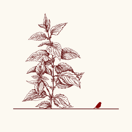 Collection image for: Stinging Nettle Fabrics