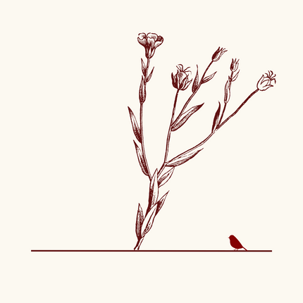 Collection image for: Sustainable Linen Fabrics