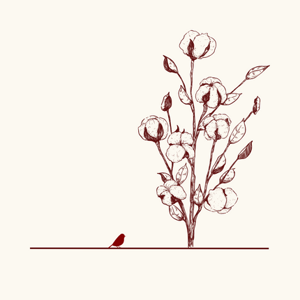 Collection image for: Organic Cotton Fabrics