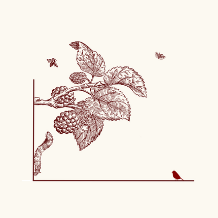 Collection image for: Organic Silk Fabrics