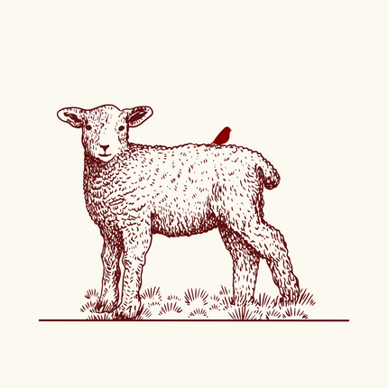 Collection image for: Sustainable Wool Fabrics