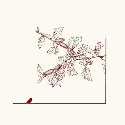 Collection image for: Cruelty-Free Silk Fabrics