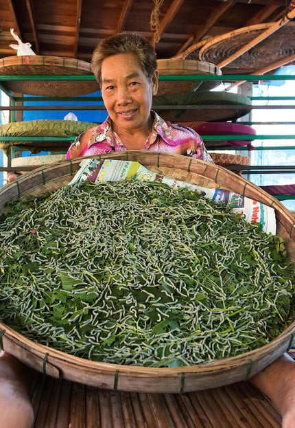 Naturally Bronze Hand-woven Peace silk by the yard, 44" inches wide, 200 GSM