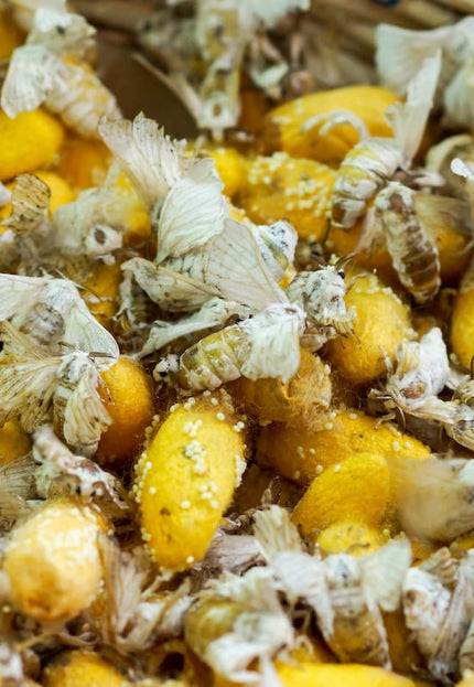 Naturally Bronze Hand-woven Peace silk by the yard, 44" inches wide, 200 GSM