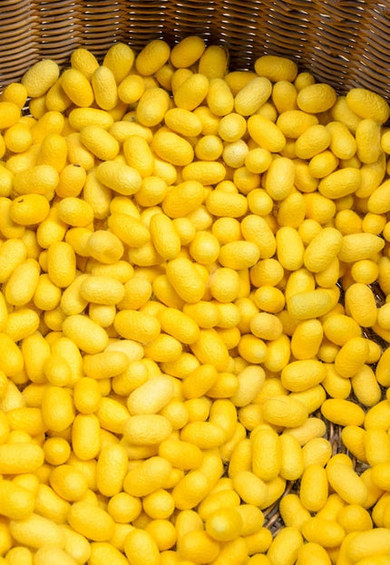 Naturally Bronze Hand-woven Peace silk by the yard, 44" inches wide, 200 GSM