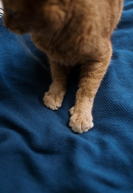 Tejido Speed-Breaker Canvas de cáñamo mezclado con algodón, 58 pulgadas de ancho, 351 GSM