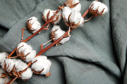 Naturally Dyed Double Cloth Muslin Organic Cotton Fabric by the yard, 58 inches wide, 130 GSM