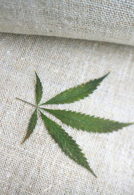 Pure Hemp 3-ply Naturally Dyed Fabric by the yard, 36 inches wide, 514 GSM