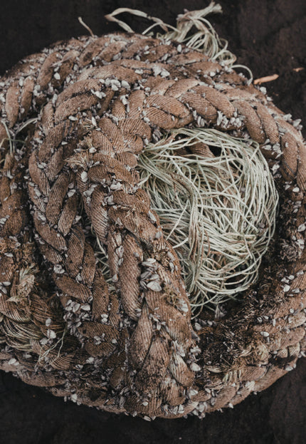 Handwoven Stinging Nettle Fabric: Plant-Dyed Textile, 50" Wide, 320 GSM