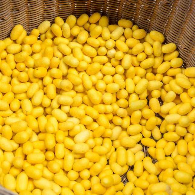 Seda Peace tejida a mano en bronce natural por yarda, 44 pulgadas de ancho, 200 GSM