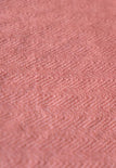 Salmon Pink